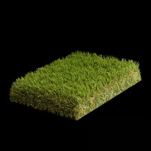 Load image into Gallery viewer, Jungle Grass 60