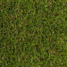 Load image into Gallery viewer, Jungle Grass 60