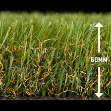 Load image into Gallery viewer, Jungle Grass 60