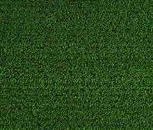 Load image into Gallery viewer, Shield Cricket Wicket Green