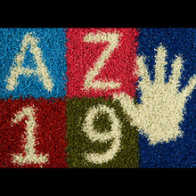 Load image into Gallery viewer, Silverback Play Colours