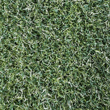 Load image into Gallery viewer, Silverback Lawn™ Natural 40 V8