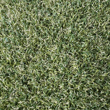 Load image into Gallery viewer, Silverback Lawn™ HD V8