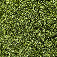 Load image into Gallery viewer, Sugarcane Silverback Lawn™ V8 35