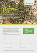 Load and play video in Gallery viewer, Seaweed Secrets