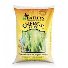 Load image into Gallery viewer, Energy Turf