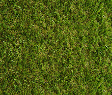 Load image into Gallery viewer, Lush 45
