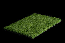 Load image into Gallery viewer, Masters - Pro Putt H2OZ