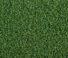 Load image into Gallery viewer, Silverback Lawn Coolplus 35 (V4)