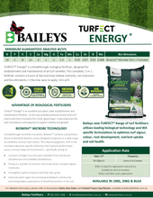 Load image into Gallery viewer, Turfect Lawn Energy