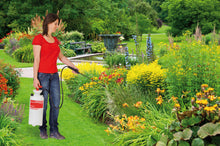 Load image into Gallery viewer, Hobby Star 5 - 5L Compression Sprayer