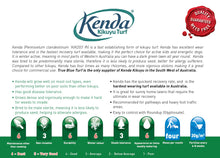 Load image into Gallery viewer, Kenda Kikuyu