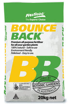 Load image into Gallery viewer, Bounce Back