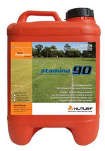 Load image into Gallery viewer, Stamina 90