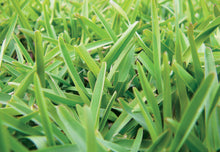 Load image into Gallery viewer, Sapphire Soft Leaf Buffalo