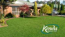 Load image into Gallery viewer, Kenda Kikuyu