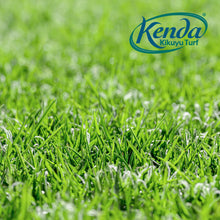 Load image into Gallery viewer, Kenda Kikuyu