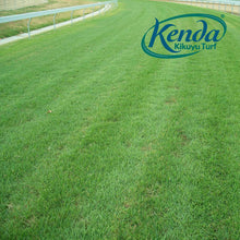 Load image into Gallery viewer, Kenda Kikuyu