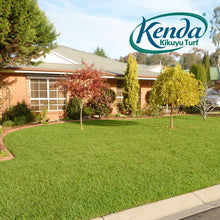 Load image into Gallery viewer, Kenda Kikuyu