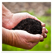 Load image into Gallery viewer, Turf Foundation Soil Improver