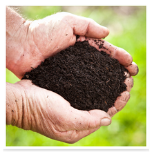 Load image into Gallery viewer, Turf Foundation Soil Improver
