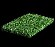 Load image into Gallery viewer, Silverback Lawn Coolplus 35 (V4)