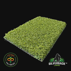 Sugarcane Silverback Lawn