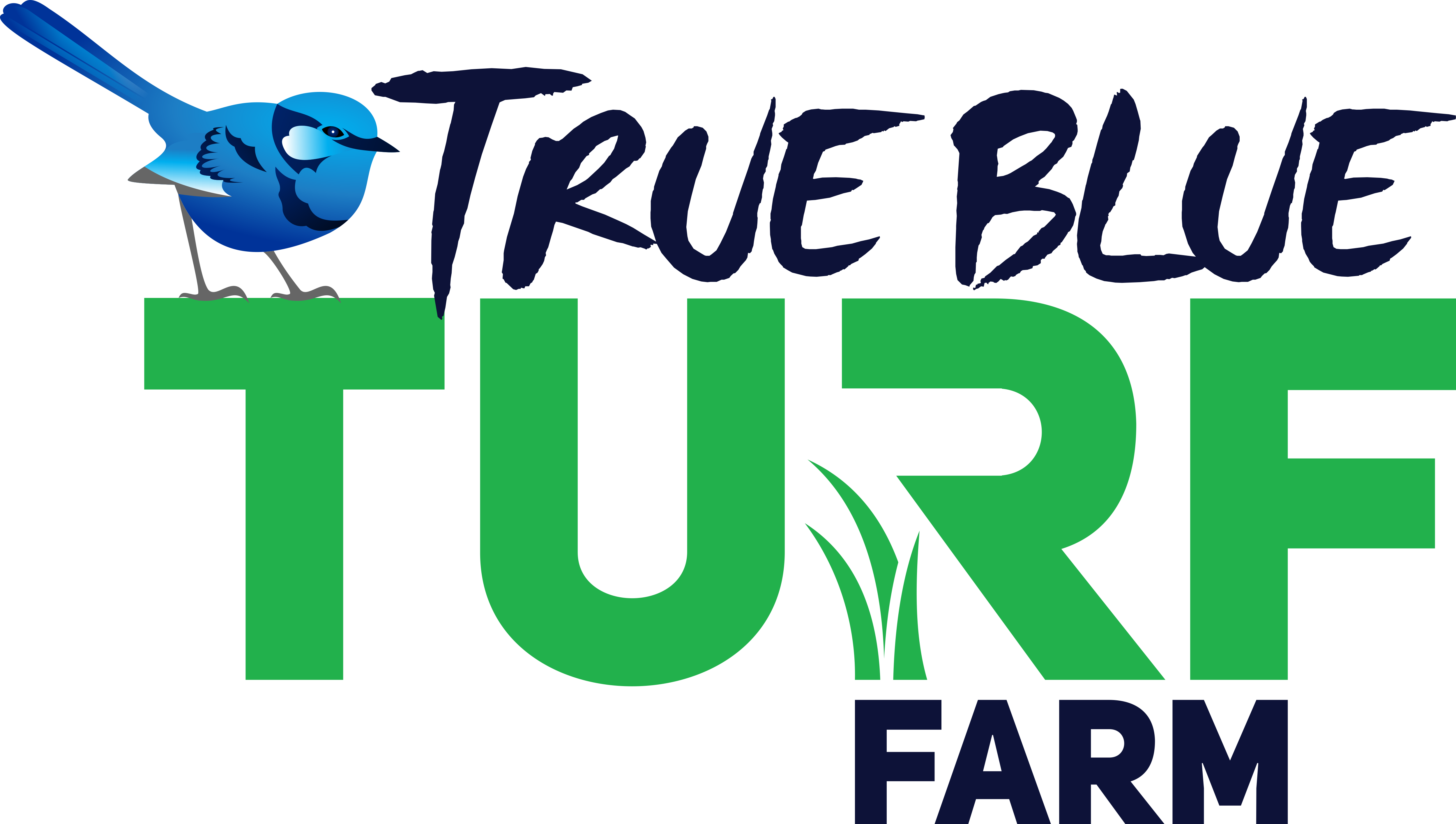 pronamide herbicide Pronamide (500g/L PROPYZAMIDE) – trueblueturf