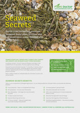 Load and play video in Gallery viewer, Seaweed Secrets
