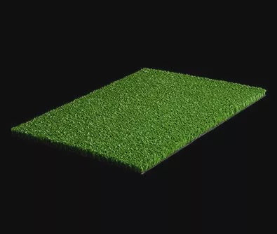 Shield Cricket Wicket Green