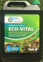 Load image into Gallery viewer, Eco-Vital
