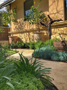 Flexline™ Garden Edging 100mm high x 2200mm