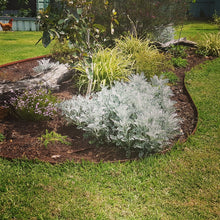 Load image into Gallery viewer, Flexline™ Garden Edging 150mm high x 2200mm
