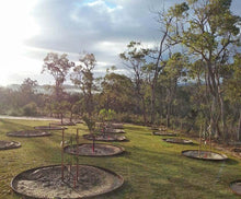 Load image into Gallery viewer, Flexline™ Garden Edging 150mm high x 2200mm

