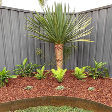 Load image into Gallery viewer, Flexline™ Garden Edging 240mm high x 2160mm
