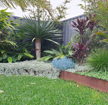 Load image into Gallery viewer, Flexline™ Garden Edging 240mm high x 2160mm
