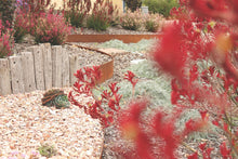 Load image into Gallery viewer, Flexline™ Garden Edging 240mm high x 2160mm
