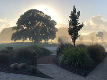 Load image into Gallery viewer, Rigidline™ Garden Edging 100mm high x 2200mm
