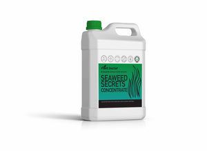 Seaweed Secrets