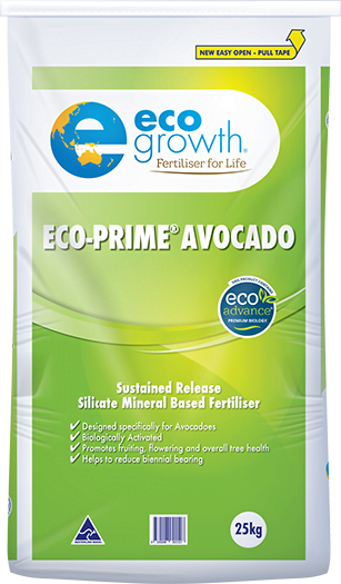 Eco Prime Avocado