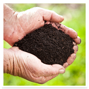 Turf Foundation Soil Improver