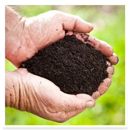Turf Foundation Soil Improver